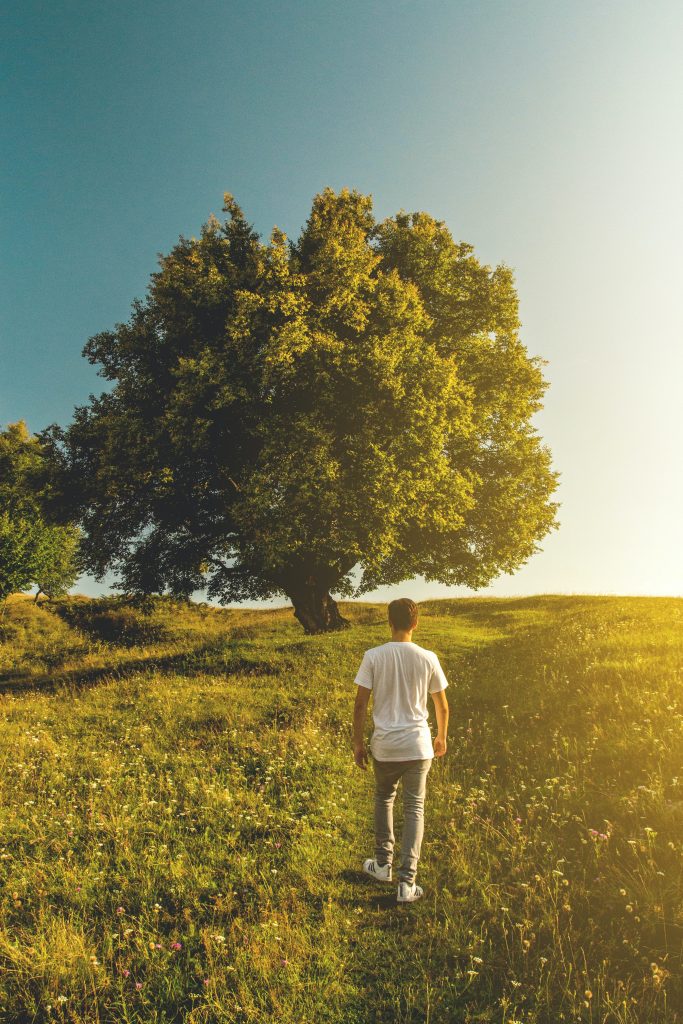 Man walking to tree