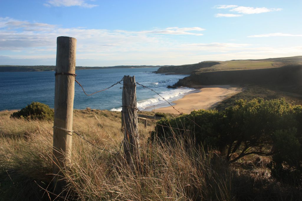 The Coast Path