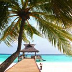 The Perfect Family Holiday Destination
