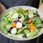 The Importance of a Healthy Diet
