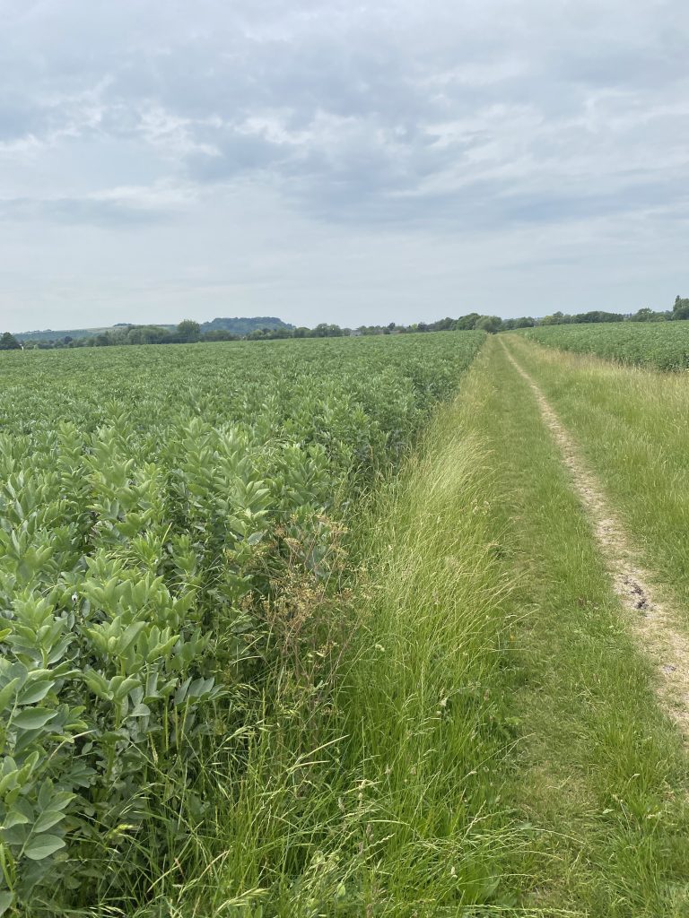 The rolling farmland paths